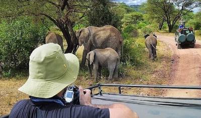 An Expect Guide To The Perfect 4 Days Tanzania Group Safari from Nairobi — 2