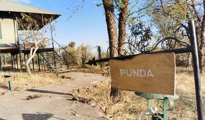 Descubra o Safari de 6 dias de classe mundial pela Migração do Norte do Serengeti durante a Travessia do Rio Mara em julho, agosto e setembro — 5