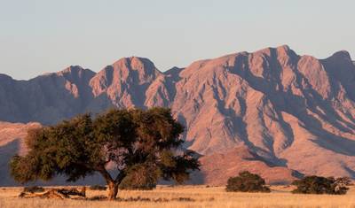 6-dniowe doświadczenie Wybrzeża Szkieletowego i Sossusvlei — 5
