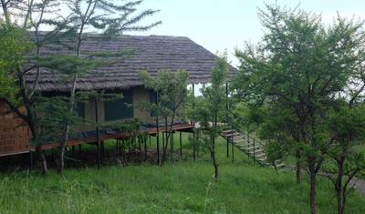 Discover Our World-Class 4-Day Ndutu Migration Safari — 3