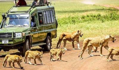 Best 9-Day African Safari Experience at a Reasonable Price – Group Sharing Safari — 2