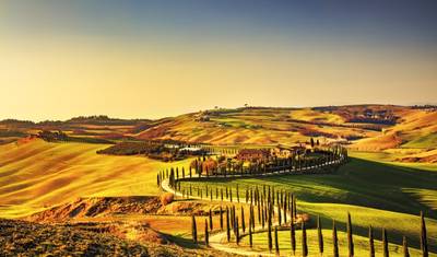 Geluxe: Italy: Tuscany and Umbria Vineyard Walks — 5
