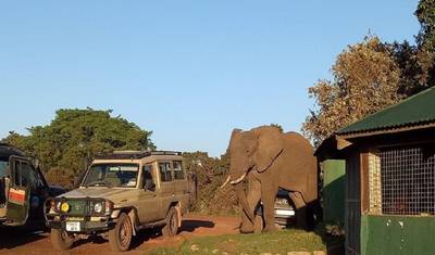 Odkryj najlepszą 5-dniową rodzinną wycieczkę po Tanzanii w najbardziej przystępnej cenie — 2