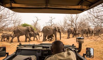 Geluxe: Zimbábue e Botsuana: Chobe, Hwange e Lago Kariba — 5