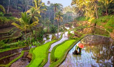 Bali Dream Trip — 4