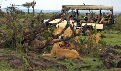 3 Days Maasai Mara Keekorok Luxury Lodge Flying Safari with 4x4 Land Cruiser Jeep — 2