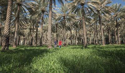 JEWELS OF OMAN TOUR PACKAGE — 5