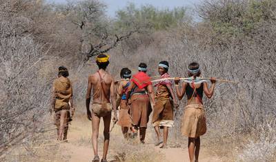 BOTSWANA – Moremi Reserve Chobe NP Photographic Safari — 2