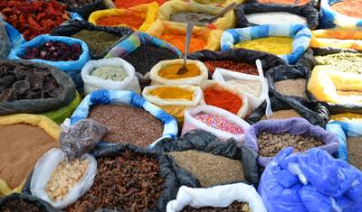 9-Day Ecuador Hacienda Hopping — 4