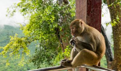 Thailand private adventure: 6 days of fun — 4