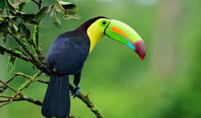 Viagem de Volta à Costa Rica e Relaxamento em Mariposa — 4