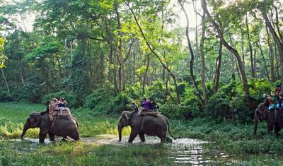 Cultural Tour in Nepal - 11 Days — 5
