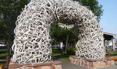 Rocky Mountain Immersion: Explore Yellowstone, Grand Teton, and Rocky Mountain National Parks — 5