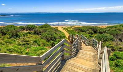 Best of Melbourne with Great Ocean Road & Phillip Island — 4