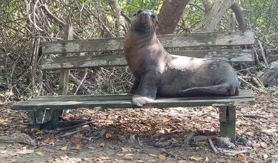 5-day Galapagos Fascinating Tour (Private Tour) — 3