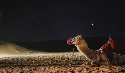 6 Dias em Dubai e Abu Dhabi. — 4