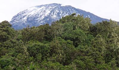 6 Days Mount Kilimanjaro Trekking Marangu Route. — 2