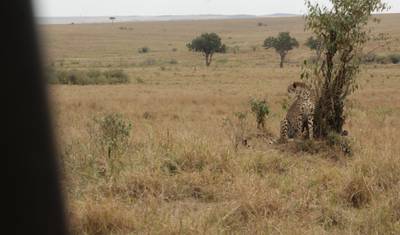 8 dni Safari Samburu i Masai Mara — 3