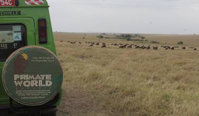 8 dni Safari Samburu i Masai Mara — 5