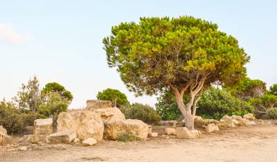 5-dniowa wycieczka w Pafos. — 5