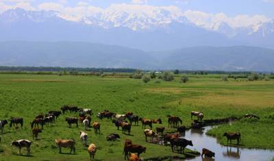 Entre o Mar Cáspio e Tian Shan — 5