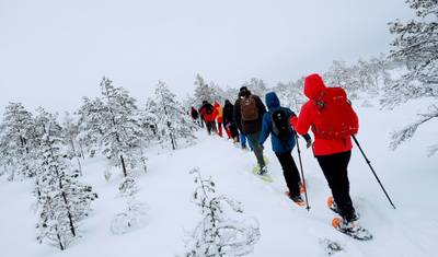 Sauna, neve e luzes cintilantes — 2