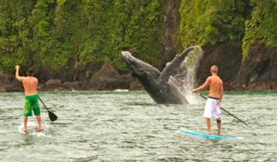 Colombia Undiscovered Pacific Coast — 3