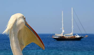 13 Days Athens, Mykonos, Santorini & Crete. — 3
