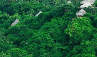 Colombia - The lost city — 3