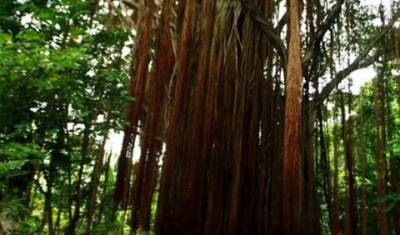 Colombia - The lost city — 4