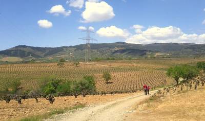Camino De Santiago - The Way to Santiago (The last 115KM) — 4