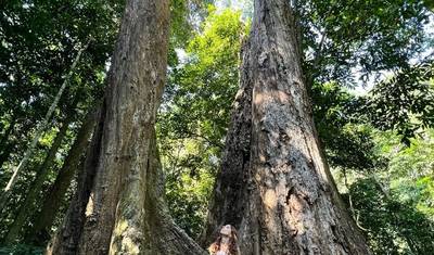 Hanoi - Ninh Binh 2 days (Hoa Lu, Tam Coc, Cuc Phuong National Park) — 3