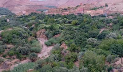 Caravanserai Dreams: A 4-Day Desert Adventure — 5