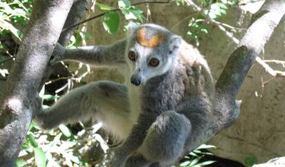 Uroki Północnego Madagaskaru — 4