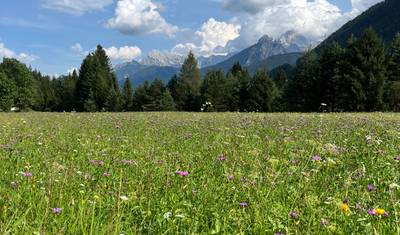The Epic Alps to Adriatic — 3