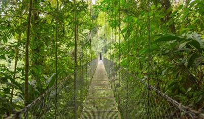 Costa Rica Escape — 4