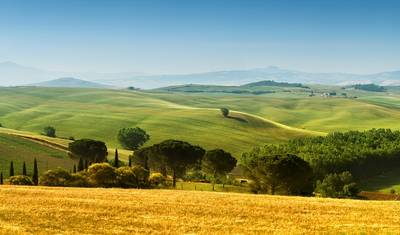 Tuscany Highlights — 2
