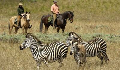 Safari na rzecz ochrony przyrody i Jezioro Malawi — 3