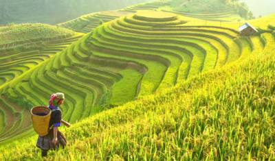Best of North Vietnam 12 Days — 3
