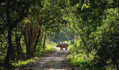 India Nepal Adventure: 2 Countries in 14 Days — 2
