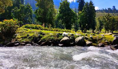 Short Trip to Kashmir — 4