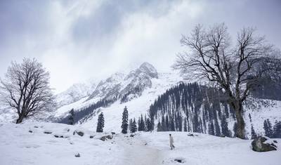 Short Trip to Kashmir — 5
