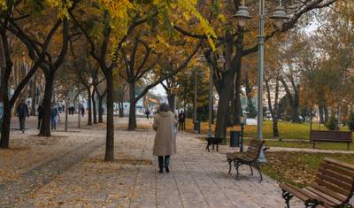 Belgrad do Bukaresztu; Półprywatna wycieczka z dedykowanym liderem wycieczki i samochodem — 5