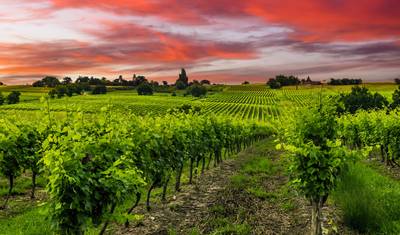 Premium Chile, Argentina & Brazil (11 destinations) — 3
