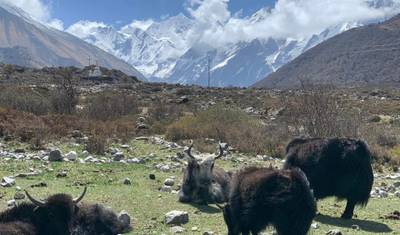 Trekking w Dolinie Langtang – 8 dni — 5