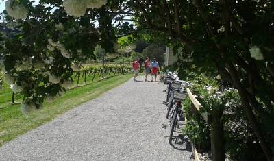 Tour de Great Taste Trail NZ - セルフガイド — 3