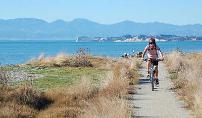 Tour de Great Taste Trail NZ - セルフガイド — 4