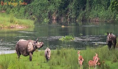 12 Days Chitwan National  Wildlife  Safari Tour with Tajmahal All Inclusive — 2