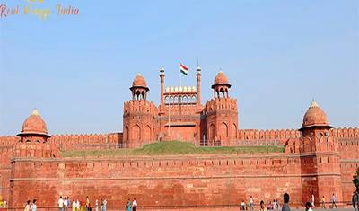 India Wildlife Adventure Tours — 3