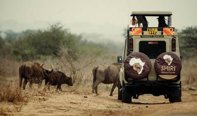 Inesquecíveis 10 Dias de Safari no Quênia e na Tanzânia. — 4